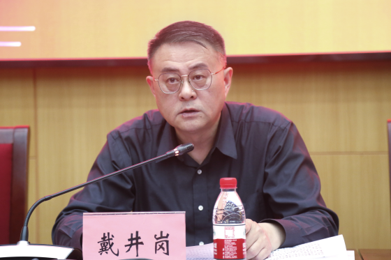 戴井岗提出工作要求_副本.png